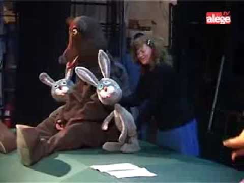 Orizonturi culturale