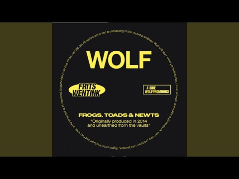 Frogs, Toads, and Newts