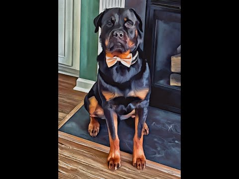 Elisha's Hard Rott Life