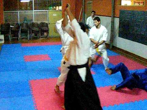 Aikido CEAF armas