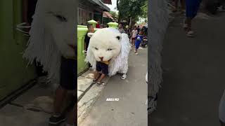 Download lagu Bocil dimakan Can Macanan Sampe habis tidak ada yang menolong mp3