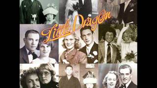 Little Dragon - Shuffle A Dream [Album Version]