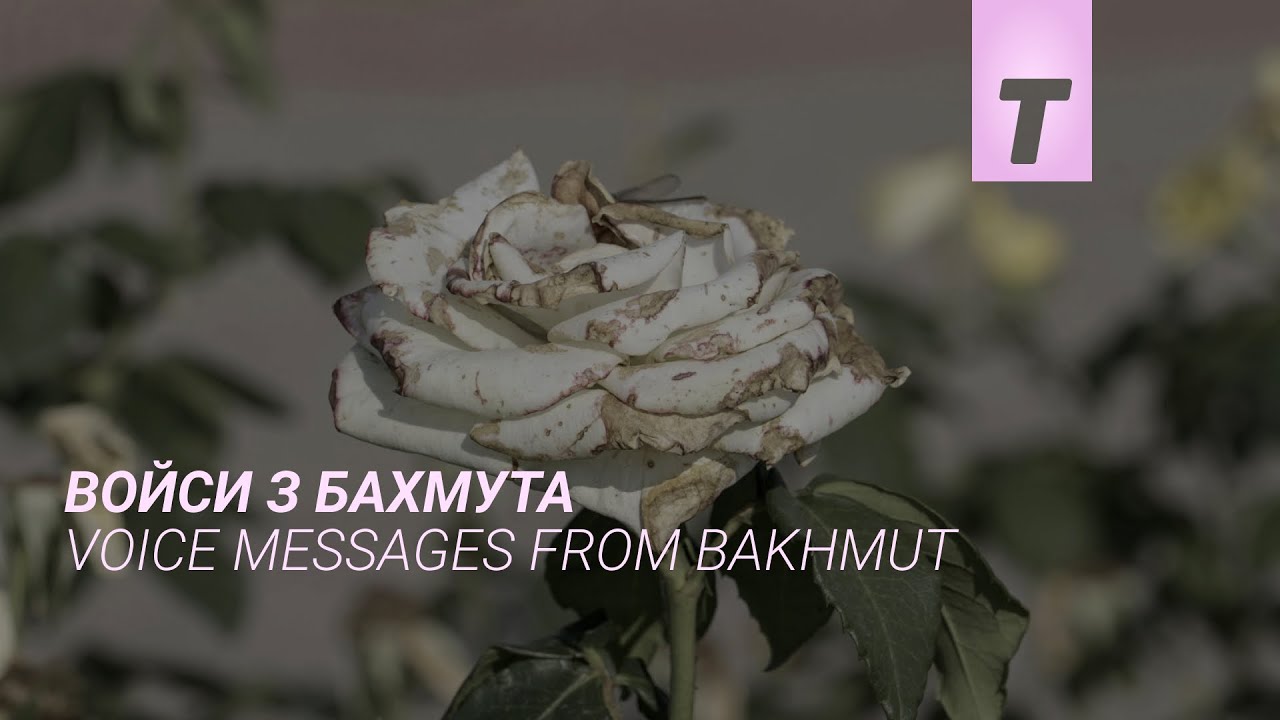 Прев'ю відео