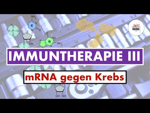 Cancer therapy: Immunotherapy III - mRNA against cancer