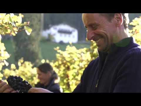 Gumphof – 4 Seasons