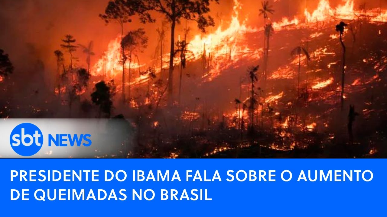 Presidente do Ibama fala sobre o aumento de queimadas no Brasil
