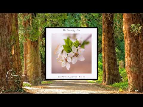 Yoni Yarchi & Assaf Gad - Feel Me (Extended Dub Mix) The Soundgarden