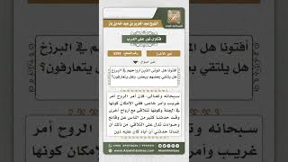 صورة 5359 -  تلاقي أرواح الموتى - نور على الدرب