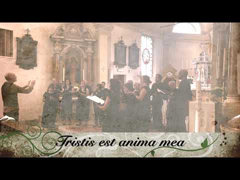Michael Haydn, Tristis est anima mea, Responsoria in Coena Domini, Cantoria Sine Nomine