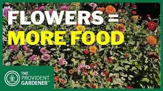 The Secret Power of Flowers: More Pollinators, Bigger Harvests