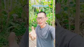 Download lagu kecewa dalam Setia 😥. mohon dukungannya yh sodaraku untuk video reel ini 👍🙏😊 mp3