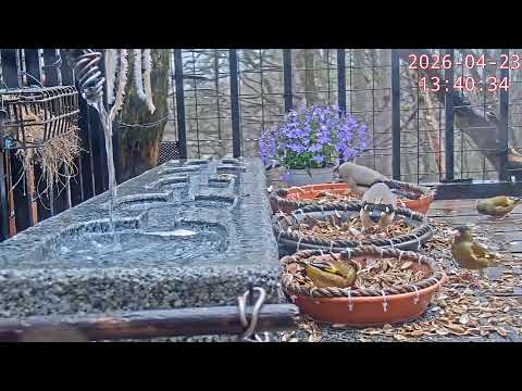 POL ワルシャワ Slasko Dabrowski trasawz.jpg