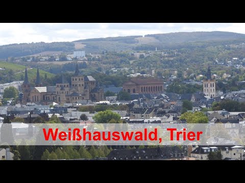 Weißhauswald, Trier - Aussicht, Natur und Historie in Deutschlands ältester Stadt