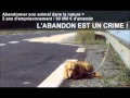 La rue Kétanou- Le chien 