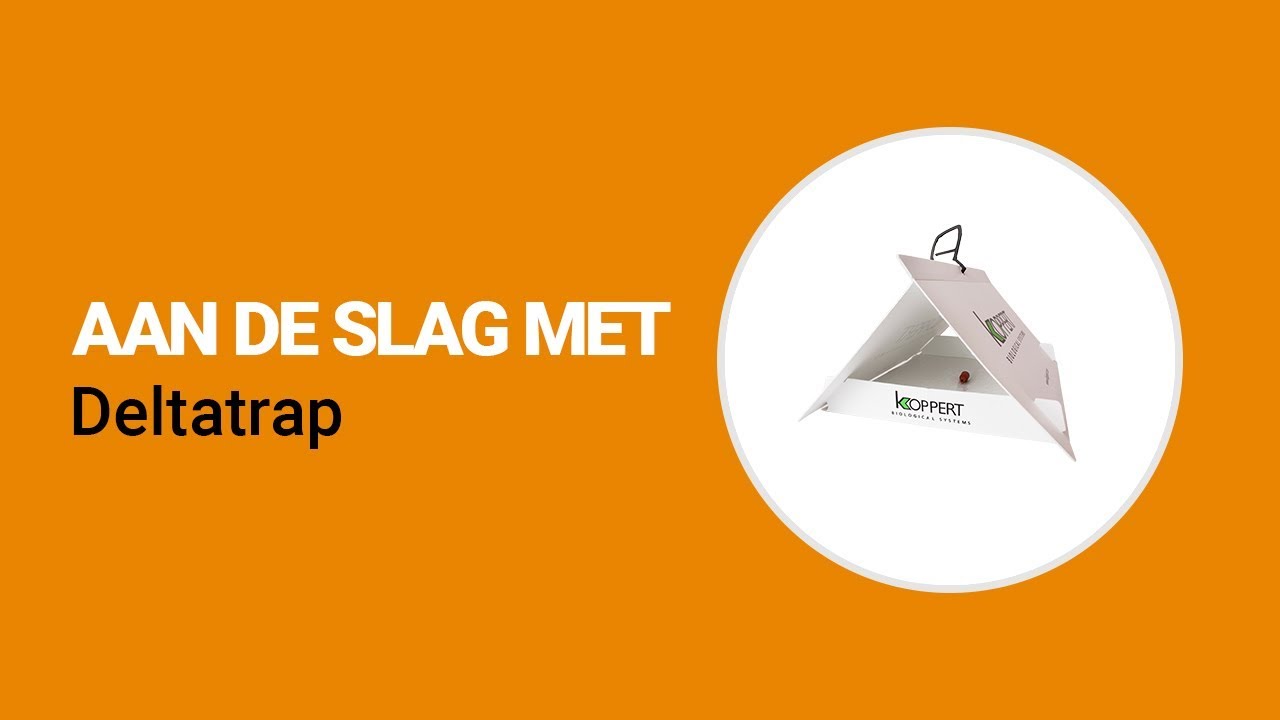 Video preview poster