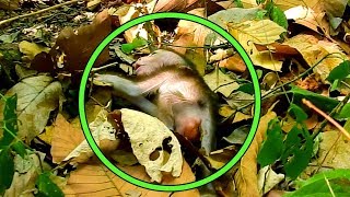 Breaking News, Slim Escaping From Cabzillar Troupe Invasion,Falling Baby &amp; Left Him Alone,Baby Cry