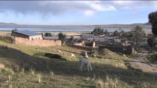 preview picture of video 'Peru - Arapa (Part 3/6) - Juristische Beratungsstelle - Alpacaprojekt - Technikum'