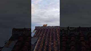 Download lagu #mentahan #mentahanlagubaratmentahanccp30detik #mentahanvideo mentahan video kucing sedih cocok sw mp3 Download lagu #mentahan #mentahanlagubaratmentahanccp30detik #mentahanvideo mentahan video kucing sedih cocok sw mp3