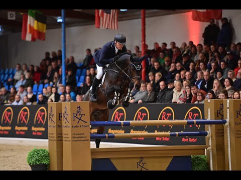 Cornet's Carpaccio RT auf der Hengstvorführung der Hengststation Tebbel 2023