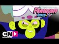 De Powerpuff Girls | Mistgevecht met De Muskiet | Cartoon Network
