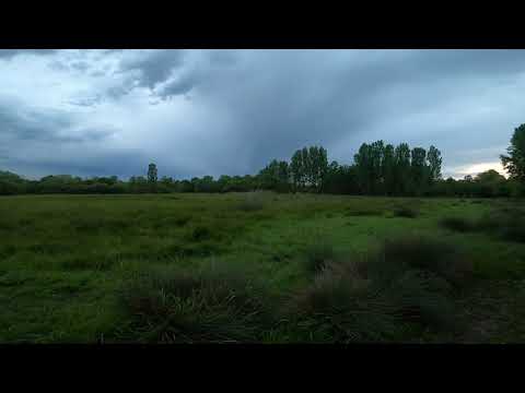 Sunetul naturii-Lacul Țuiului - Ciolanesti - Teleorman