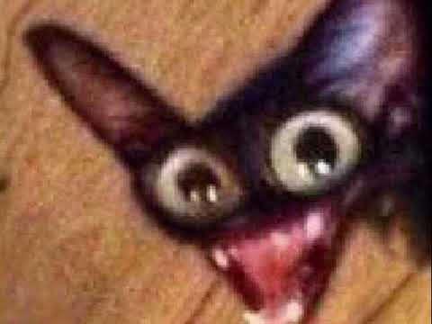 Siva laia harmony day