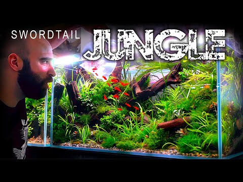 FULL AQUARIUM BUILD - 140L Swordtail Jungle Tank!