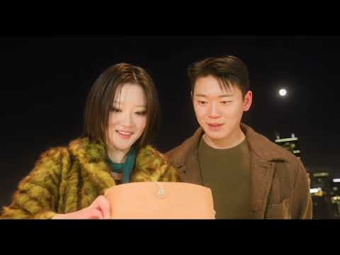 비디오 17