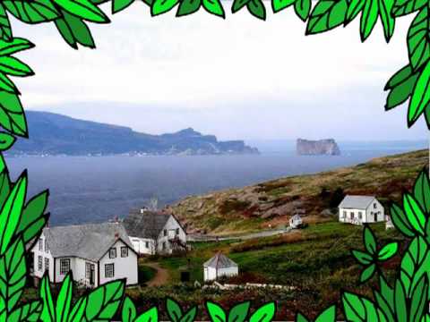 A Tear Drop On A Rose--Lloyd Snow