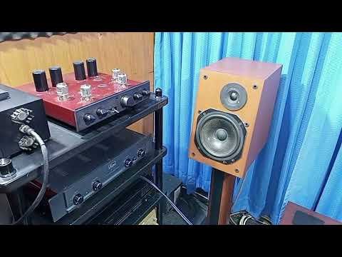 lungyim~Factor FP-5 - Technics SE-A100 - ToneWinner TY-30 HIFI CD Player ( 1 )