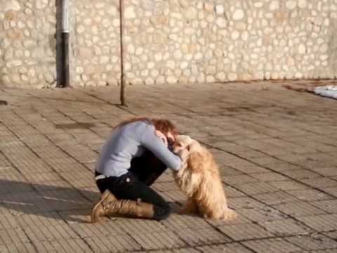 Canine Freestyle - Raffie and Veni (Fallin' for you)