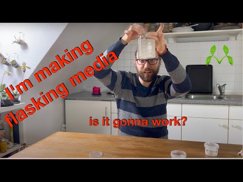 Getting pseudo-science-y | making flasking media for orchids | getting ready for seeds