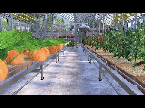 FARMERS DYNASTY ep8  Iv Got Man Flue Found Rex  and Tom Harvest