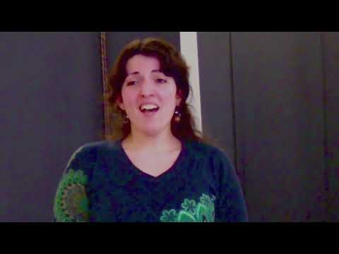 Die Zauberflöte  - 17 Ach ich fühl's