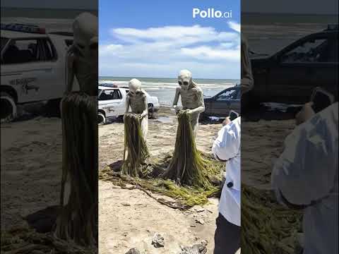 part92:mysterious  Alien First Contact | Stunning Sci-Fi Animation | Stunning Sci-Fi Animation