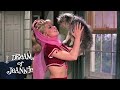 A Genie And Her Dog I Dream Of Jeannie