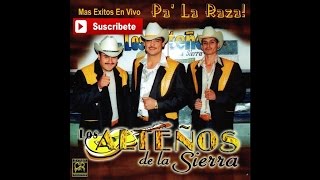 Chamarra Vieja Lyrics English Translation