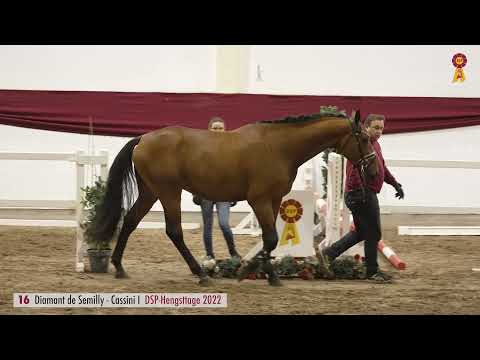 16 Diamant de Semilly   Cassini