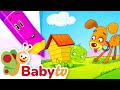 Who Gives Michael His Shell Fun Animal Story For Toddlers BabyTV