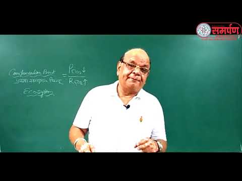 11 AKP SIR L 49 Photo Synthesis Part 6