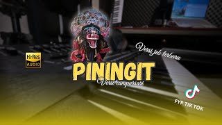 Download lagu PININGIT Tanpa kendang cover jandut mp3