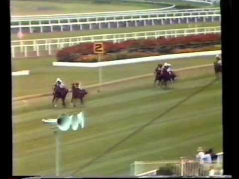 McGinty vs Marscay - 1982 Todman Slipper Trial