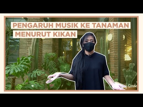 KIKAN NAMARA : MUSIC & PLANT