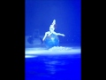 Katrina Asfardi Contortion Aerial Acts Special Act