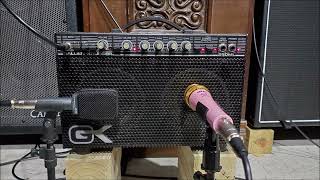 Video thumbnail for Gallien Krueger 250ML - Iron Maiden - stock combo speakers by low_e