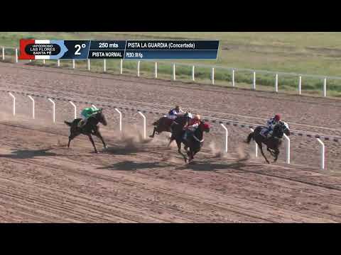 31/05/26 2a C. Premio: "PISTA LA GUARDIA". - 250 MTS - CONCERTADA