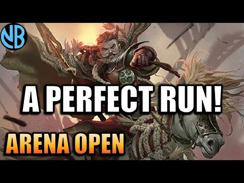 Chasing PERFECTION in the Lord of the Rings Arena Open!