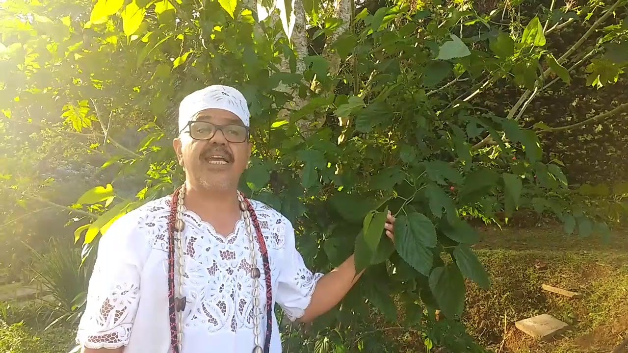 Ervas de Exu/ Ewe Exu/ Folhas de Exu