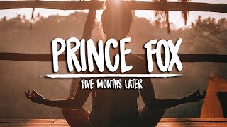 Prince Fox - Five Months Later