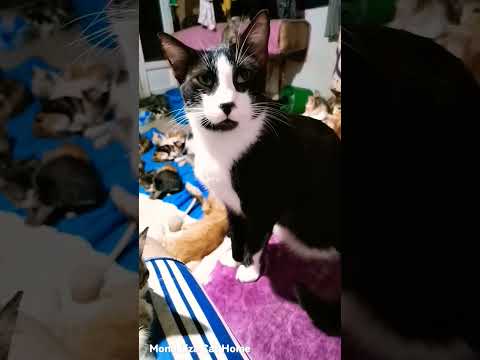 Roberto looks at me in admiration again 🤭